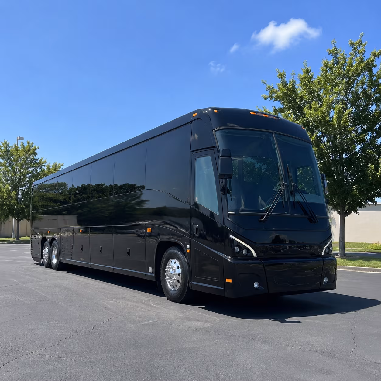 western washington university and whatcom county group travel